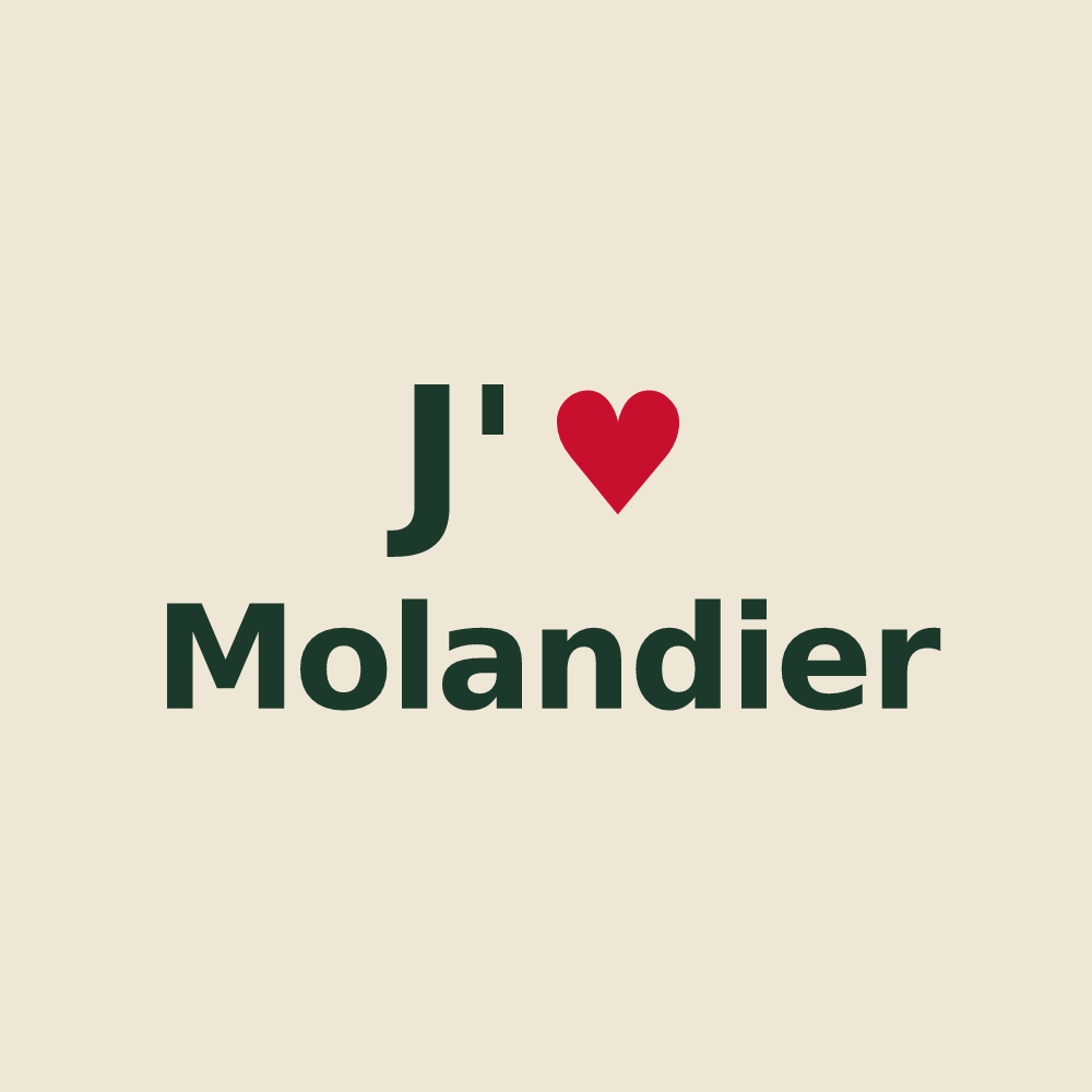 Tote bag personnalisé Molandier — design J'aime Molandier