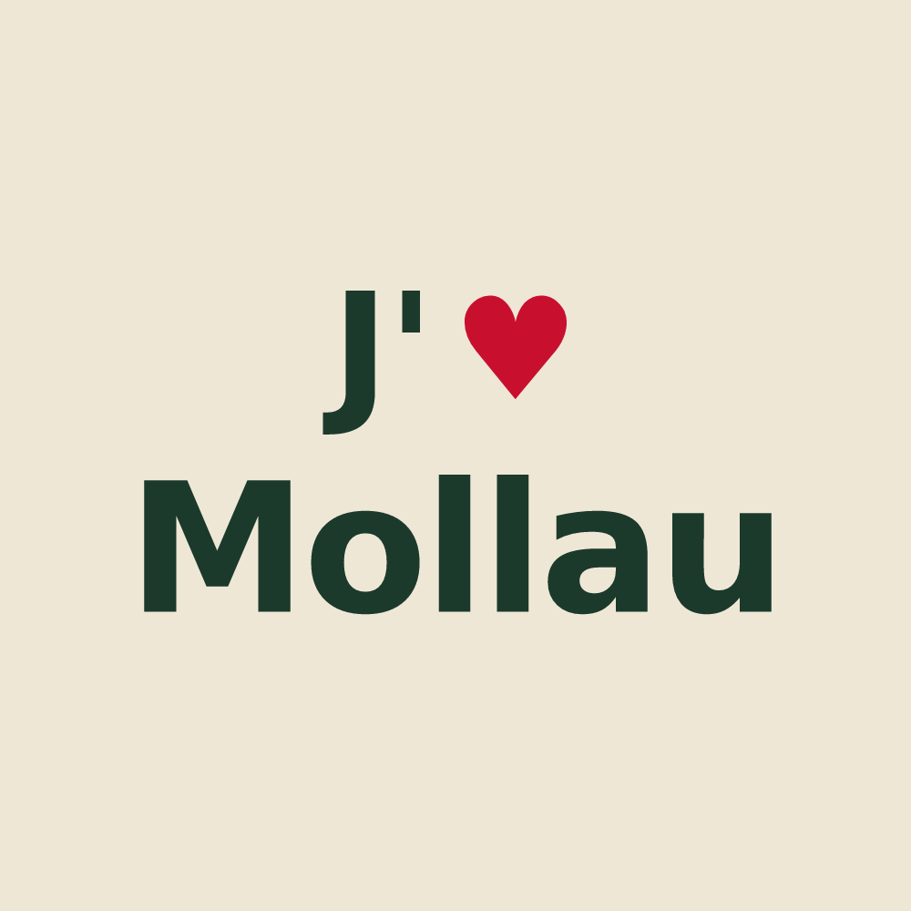 Tote bag personnalisé Mollau — design J'aime Mollau