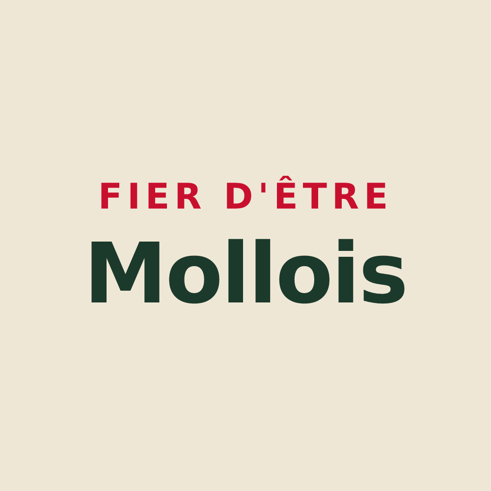 Tote bag « Fier d'être Mollois » — design pour Molles