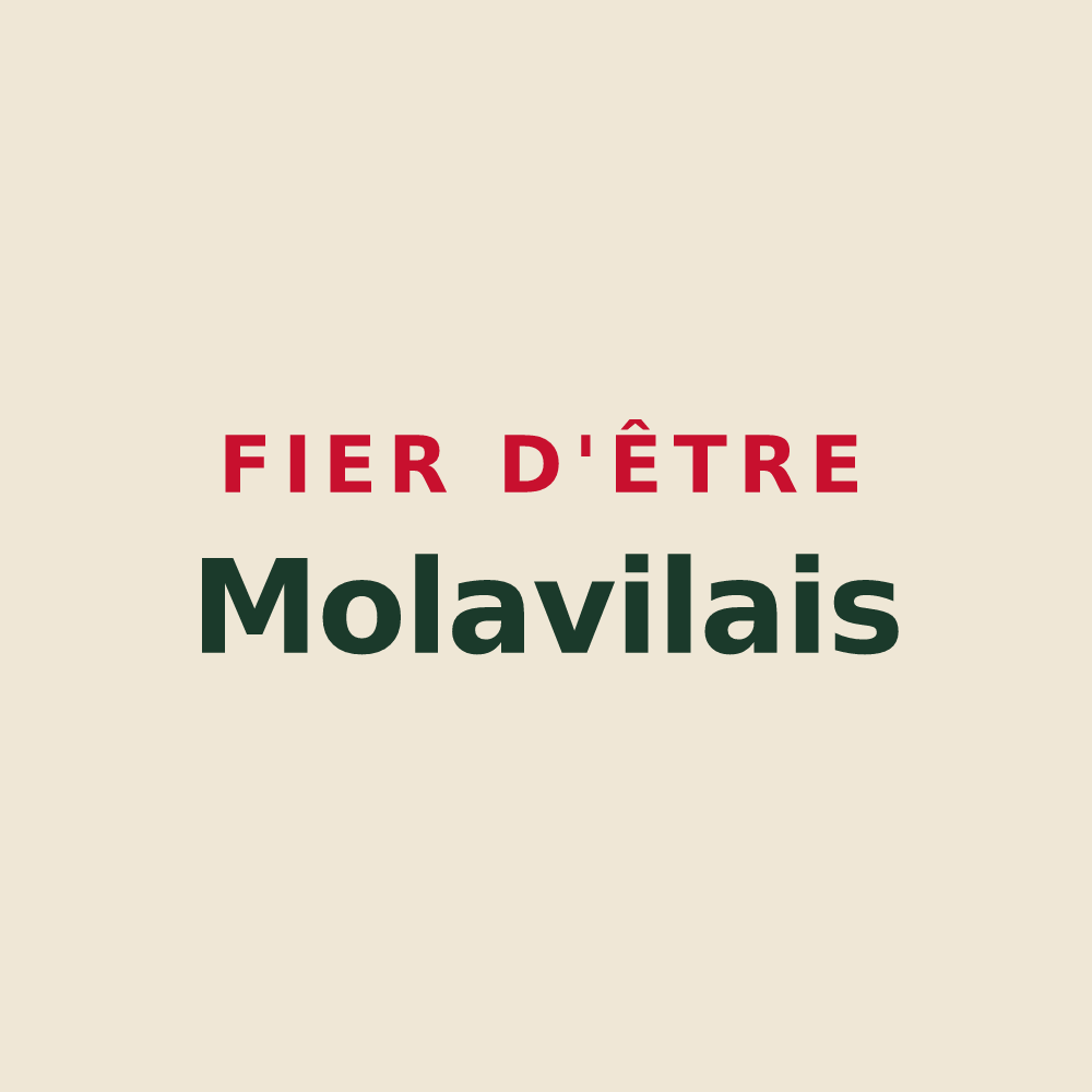 Tote bag « Fier d'être Molavilais » — design pour Molleville