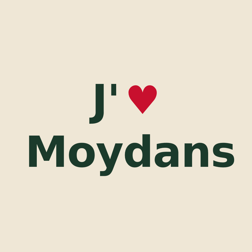 Tote bag personnalisé Moydans — design J'aime Moydans