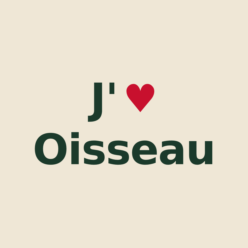 Tote bag personnalisé Oisseau — design J'aime Oisseau