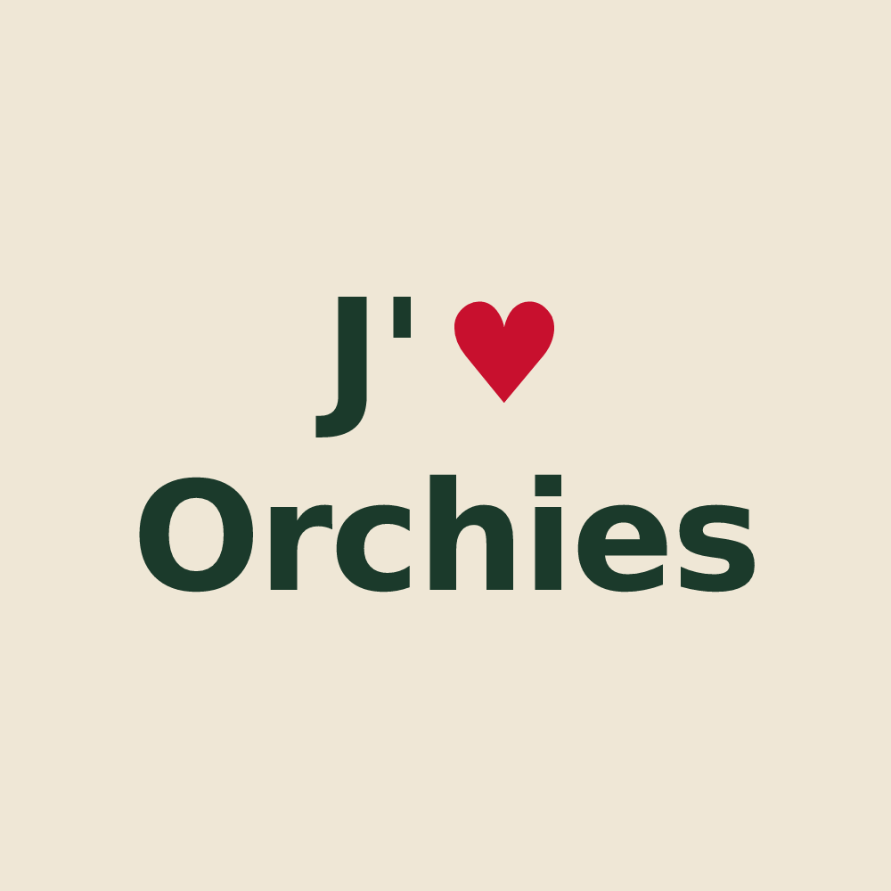 Tote bag personnalisé Orchies — design J'aime Orchies