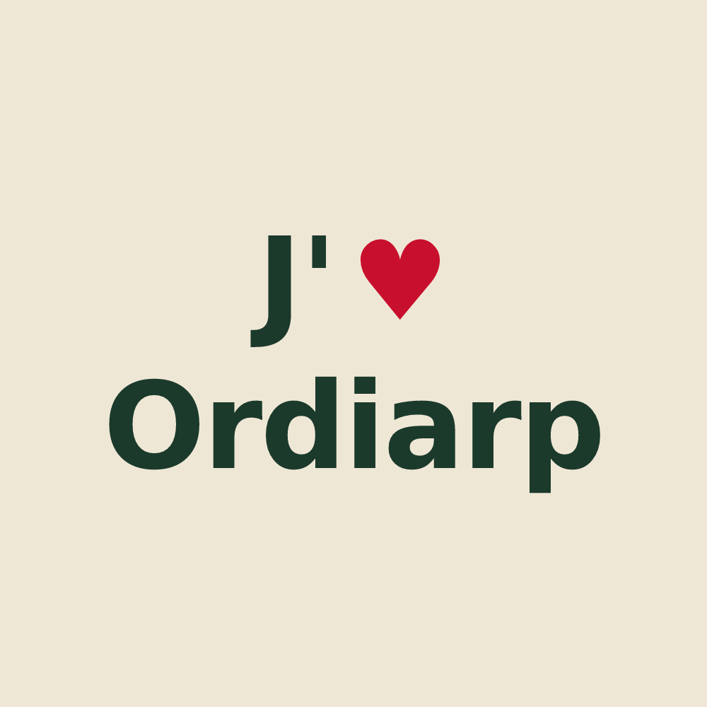 Tote bag personnalisé Ordiarp — design J'aime Ordiarp