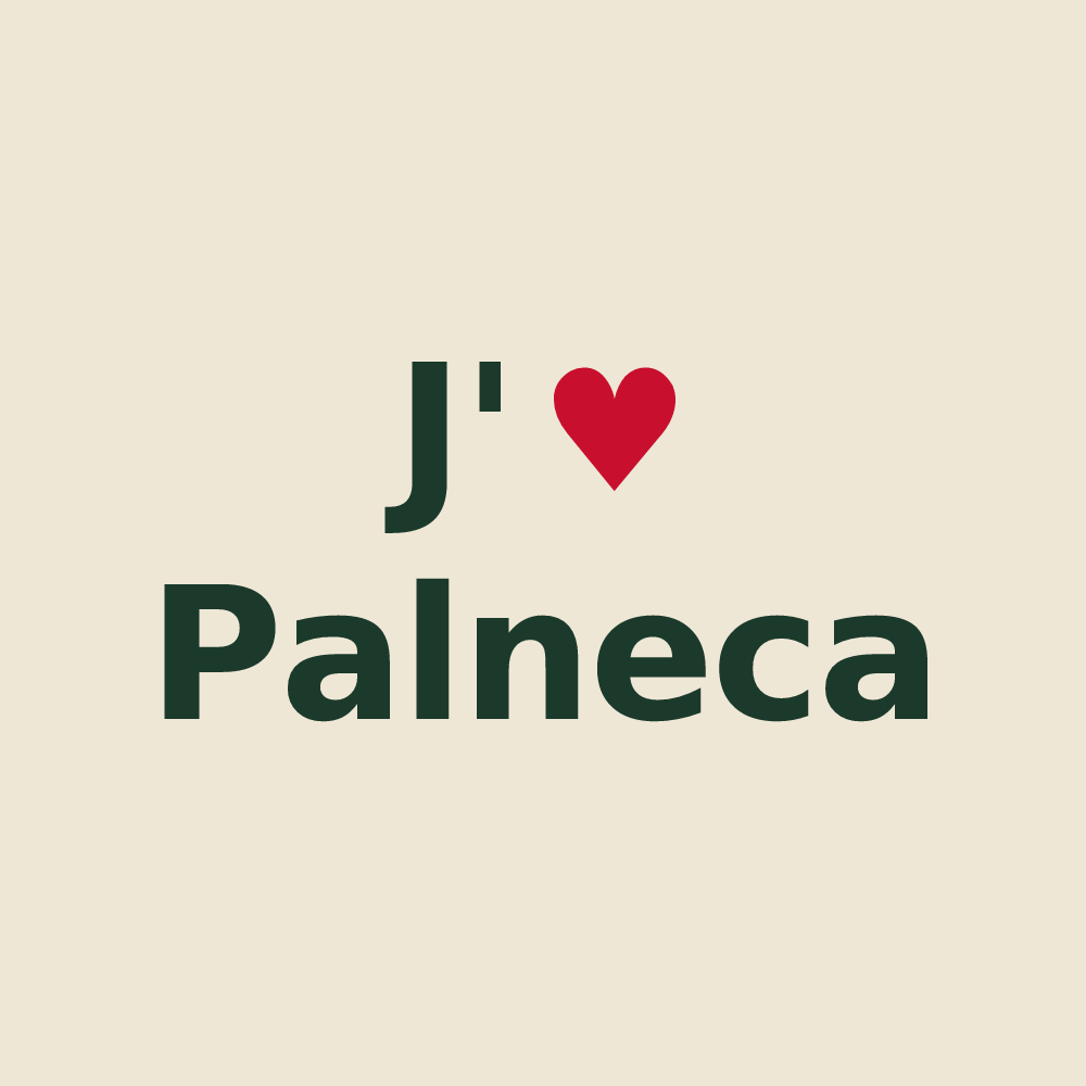 Tote bag personnalisé Palneca — design J'aime Palneca