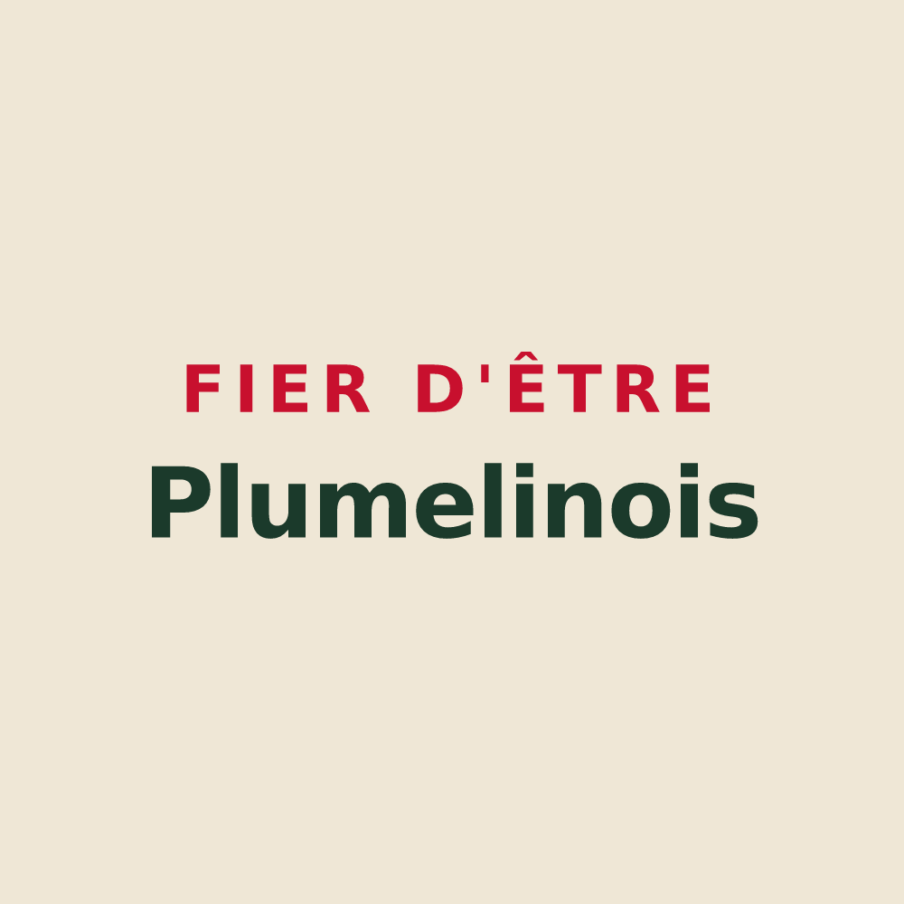Tote bag « Fier d'être Plumelinois » — design pour Plumelin