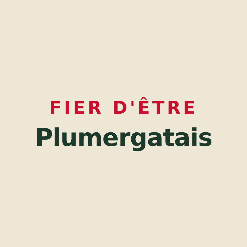 Tote bag « Fier d'être Plumergatais » — design pour Plumergat