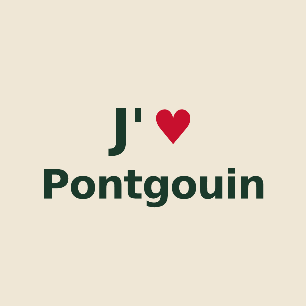 Tote bag personnalisé Pontgouin — design « J'aime Pontgouin » imprimé sur le tote bag