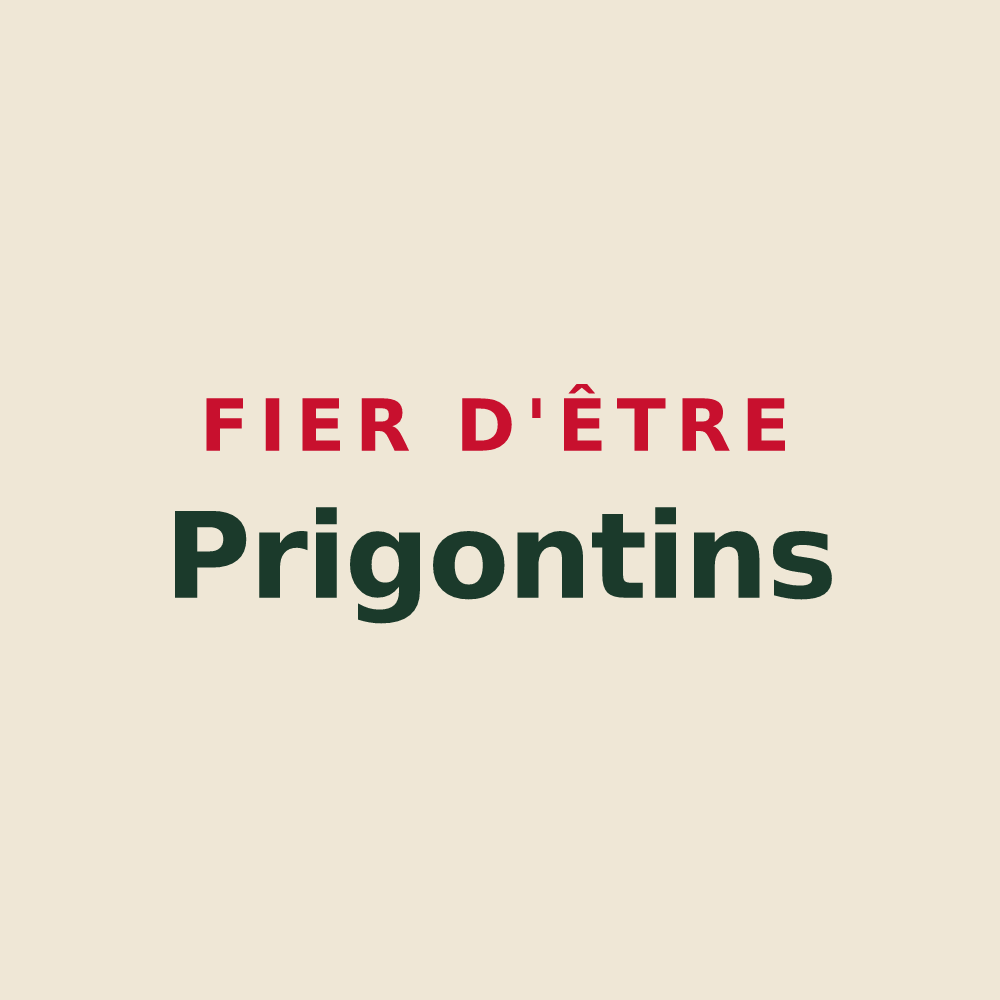 Tote bag « Fier d'être Prigontins » — design pour Prigonrieux
