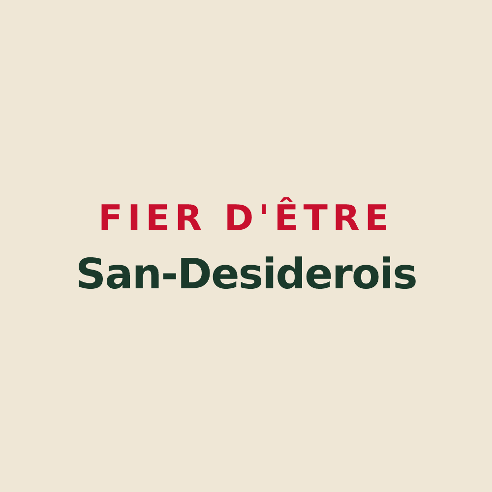 Tote bag « Fier d'être San-Desiderois » — design pour Saint-Didier