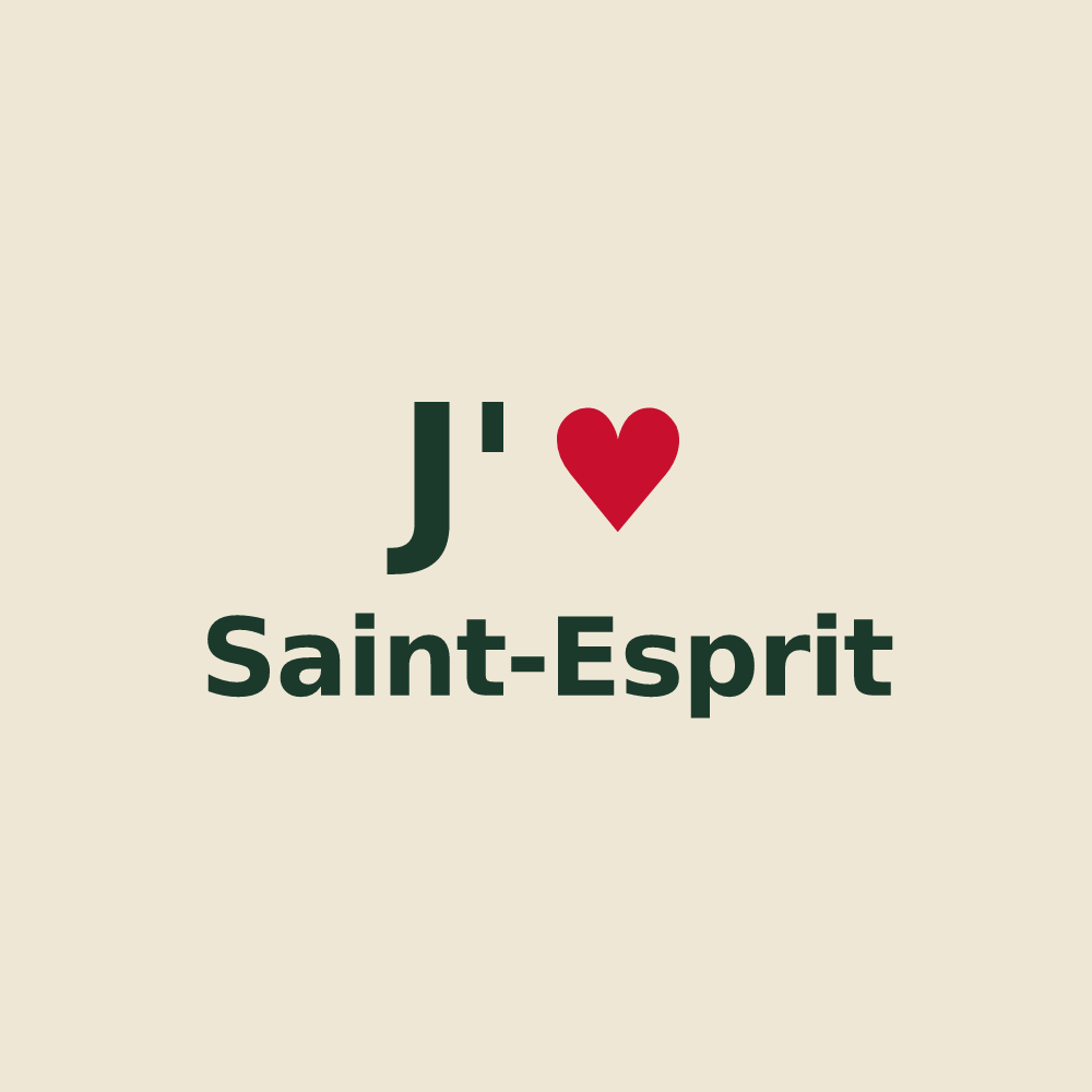 Tote bag personnalisé Saint-Esprit — design J'aime Saint-Esprit
