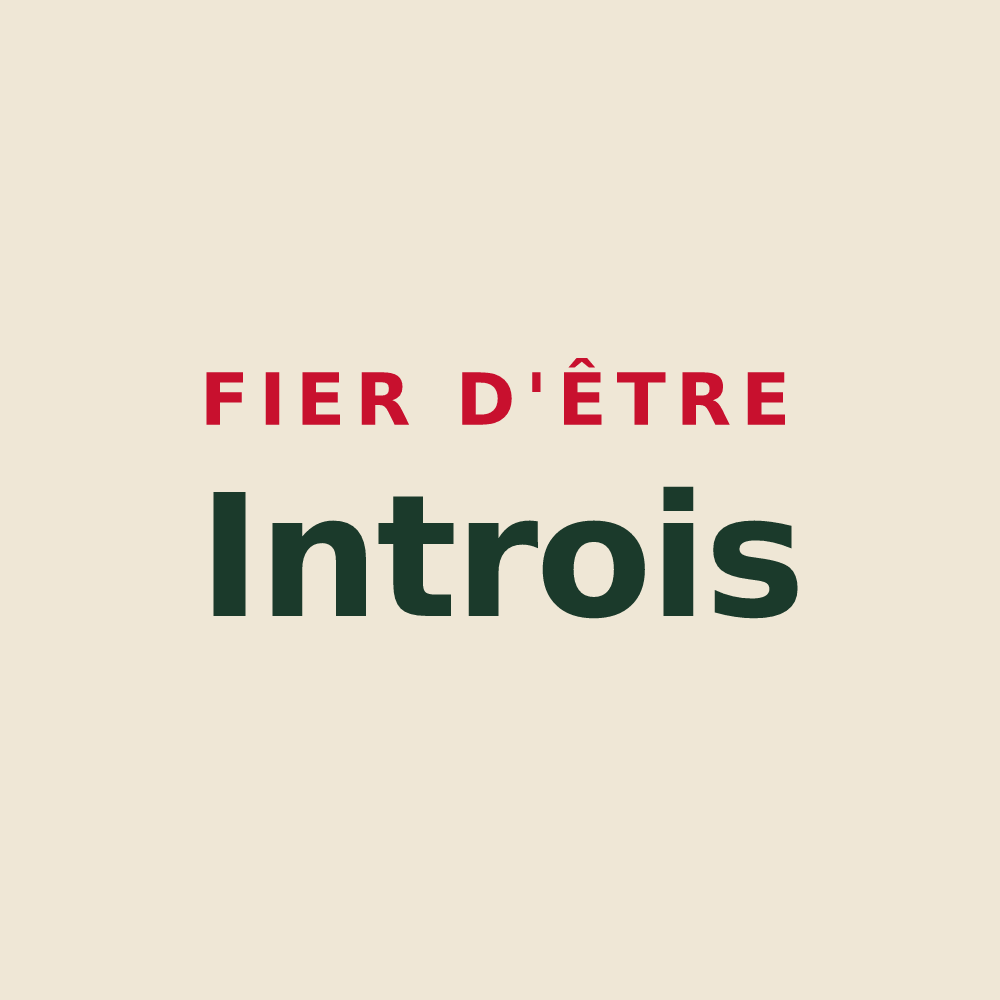 Tote bag « Fier d'être Introis » — design pour Saint-Julien-d'Intres