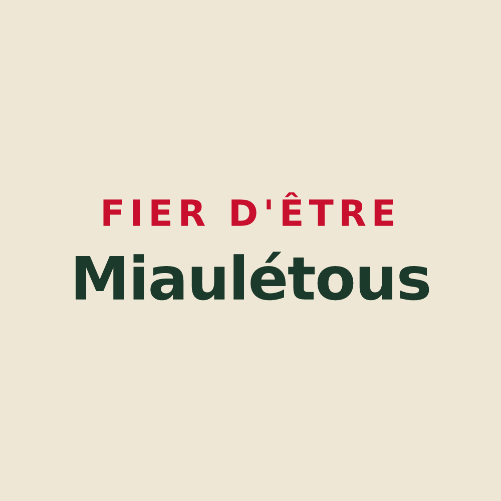 Tote bag « Fier d'être Miaulétous » — design pour Saint-Léonard-de-Noblat