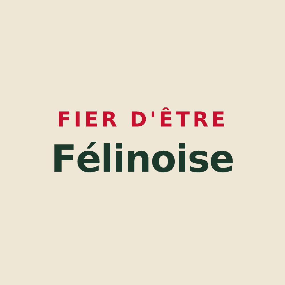 Tote bag « Fier d'être Félinoise » — design pour Saint-Marcel-de-Félines