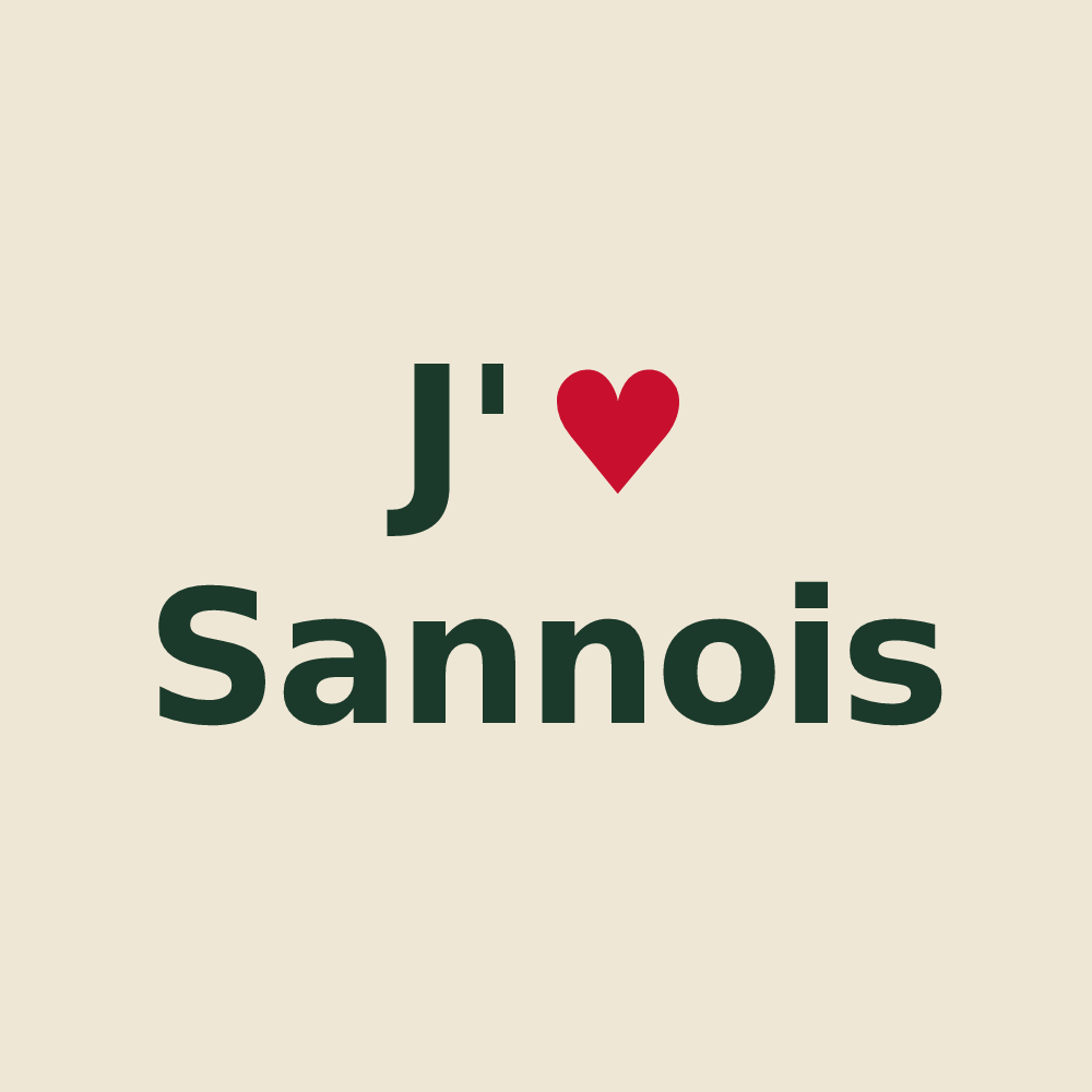 Tote bag personnalisé Sannois — design J'aime Sannois
