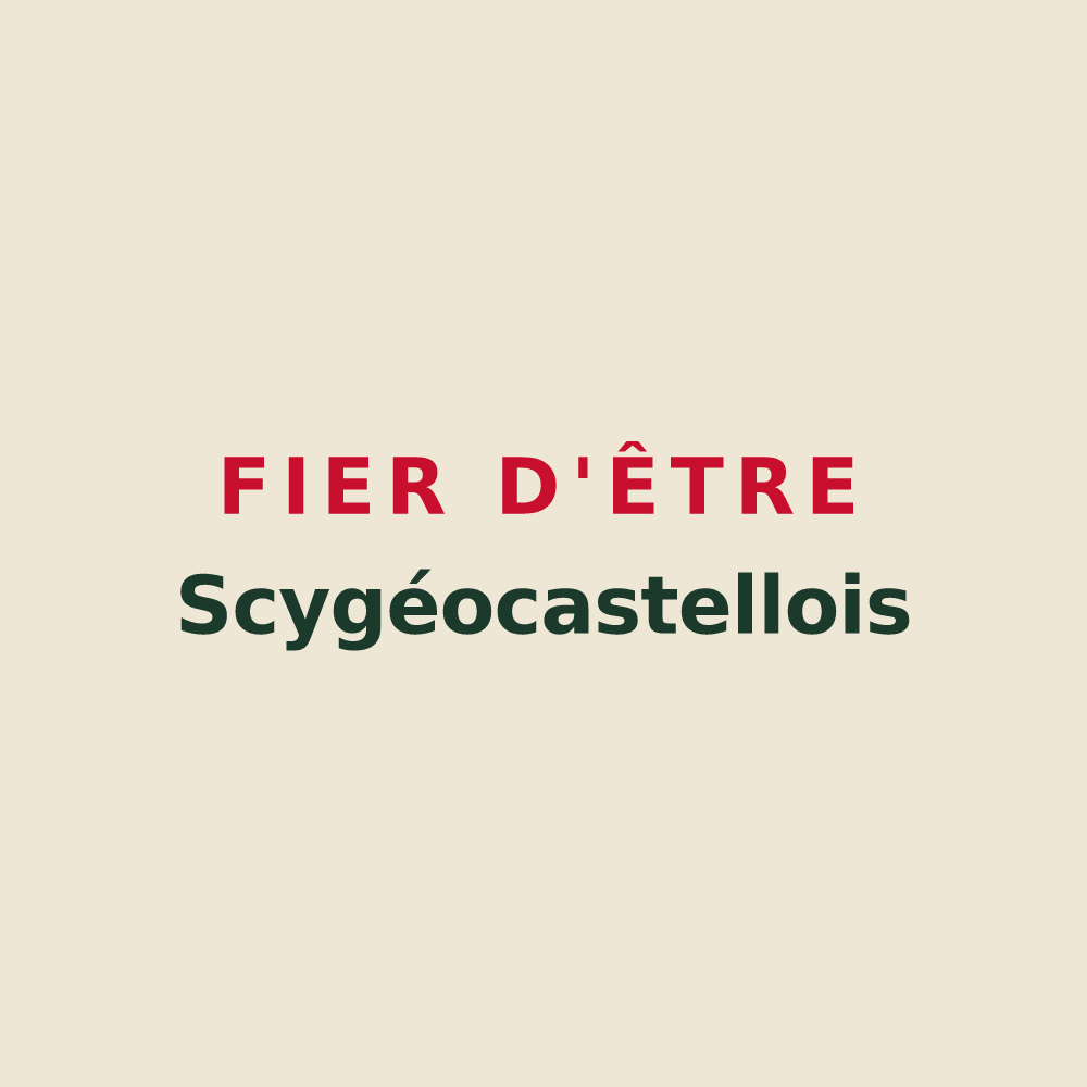 Tote bag « Fier d'être Scygéocastellois » — design pour Scy-Chazelles