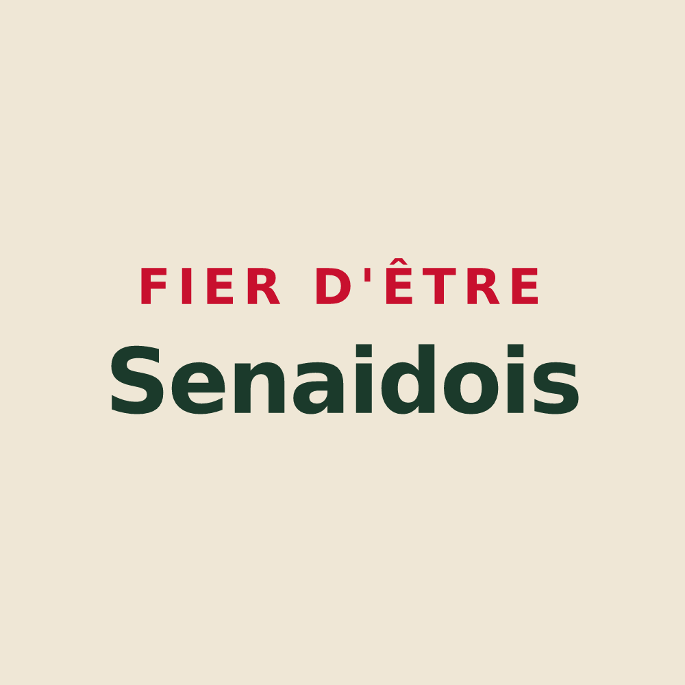 Tote bag « Fier d'être Senaidois » — design pour Senaide