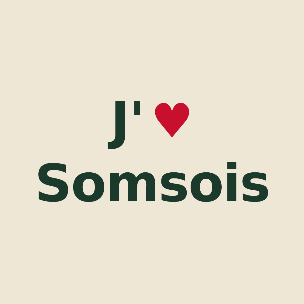 Tote bag personnalisé Somsois — design J'aime Somsois