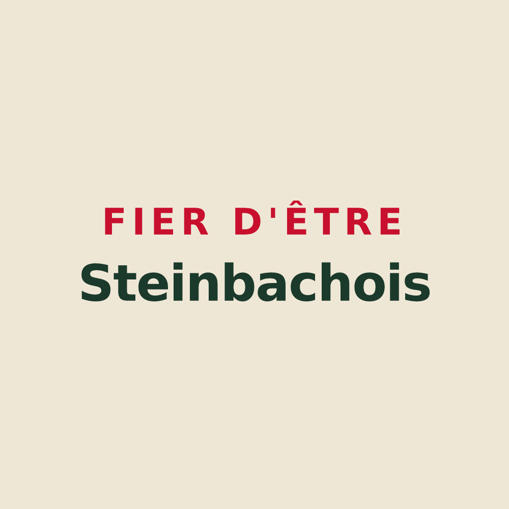 Tote bag « Fier d'être Steinbachois » — design pour Steinbach