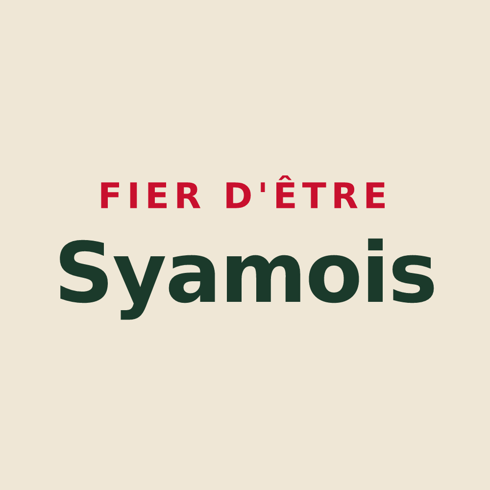Tote bag « Fier d'être Syamois » — design pour Syam