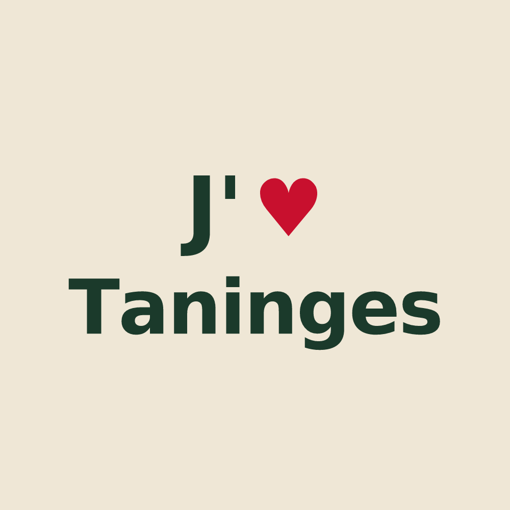 Tote bag personnalisé Taninges — design « J'aime Taninges » imprimé sur le tote bag