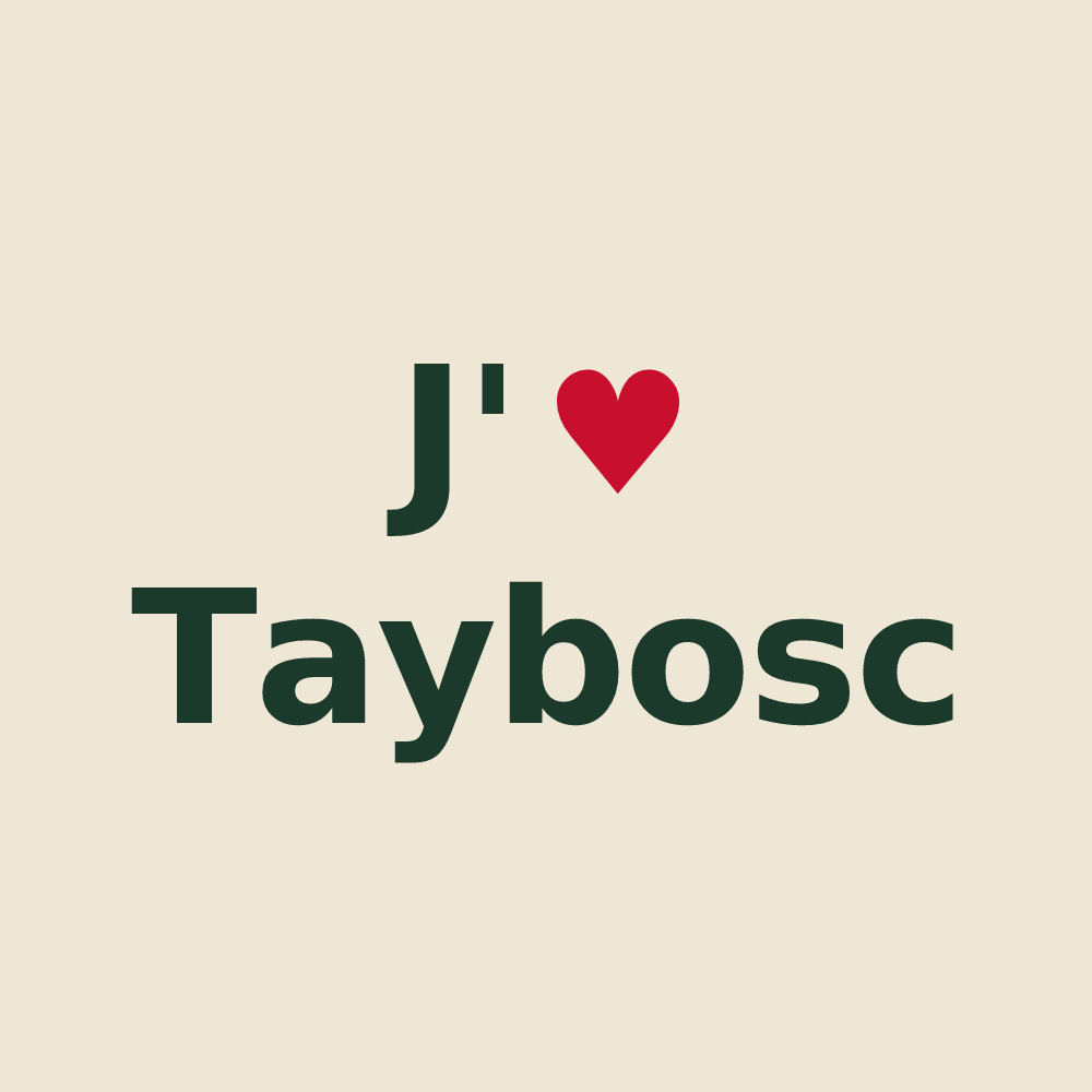 Tote bag personnalisé Taybosc — design J'aime Taybosc
