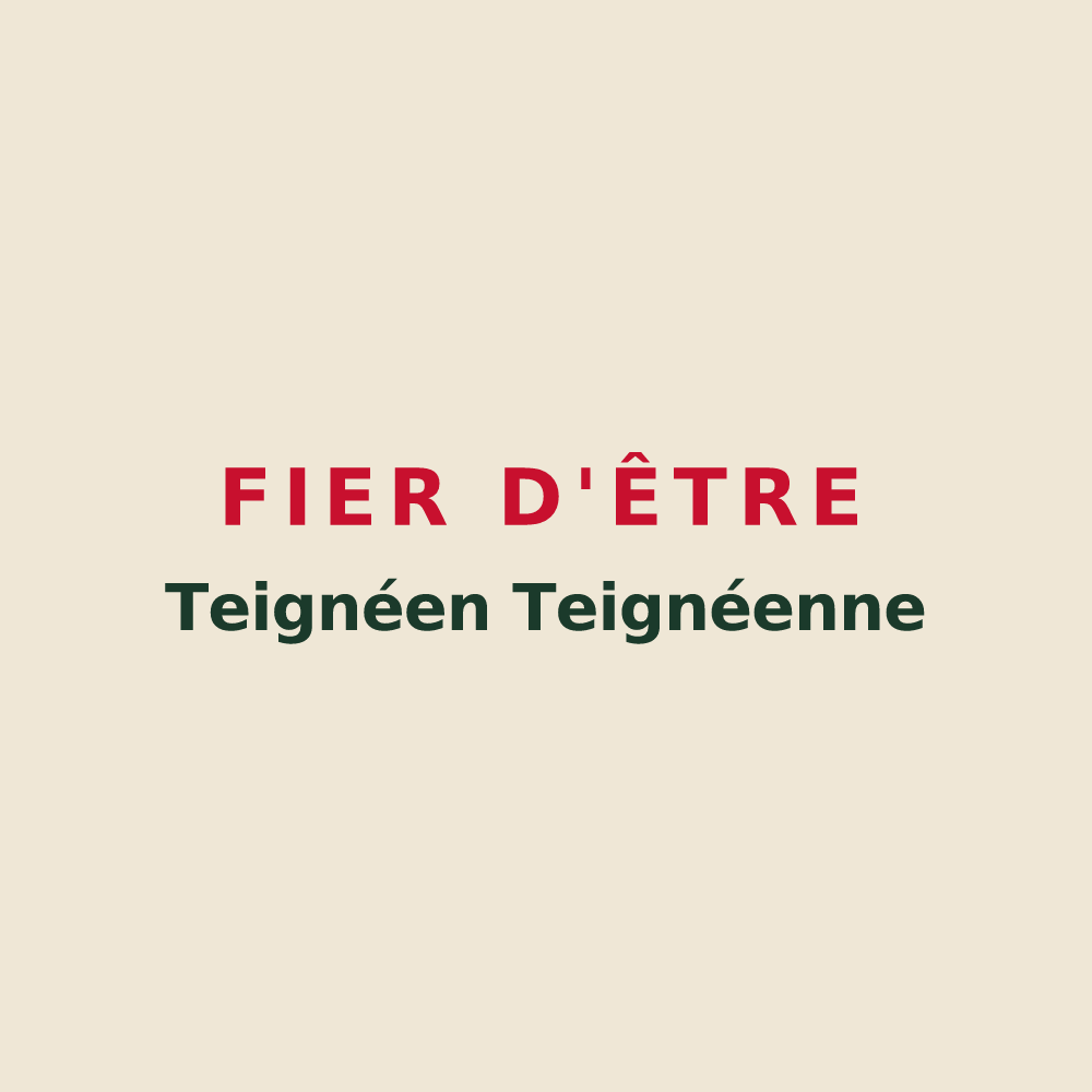 Tote bag « Fier d'être Teignéen 
Teignéenne » — design pour Teigny