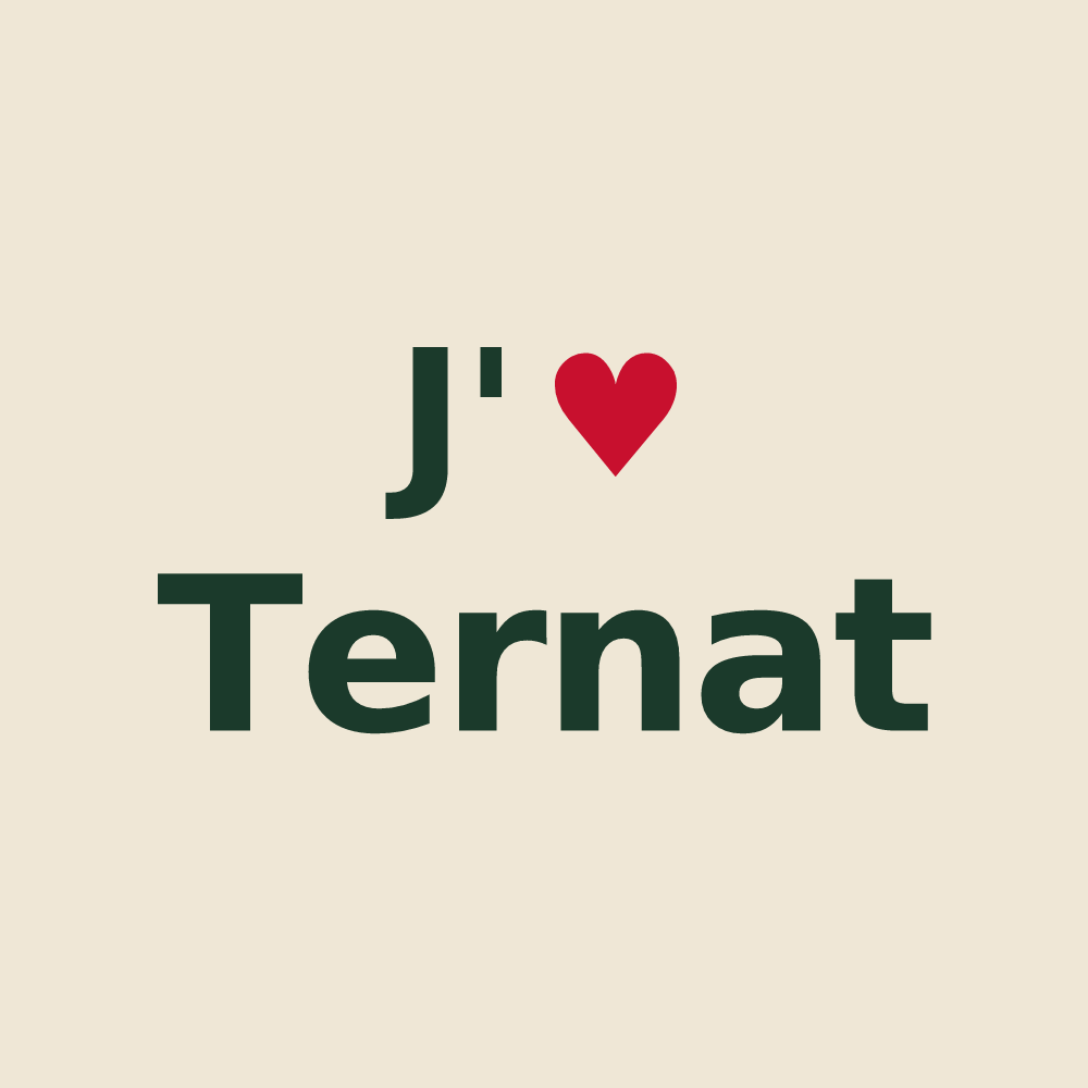 Tote bag personnalisé Ternat — design J'aime Ternat