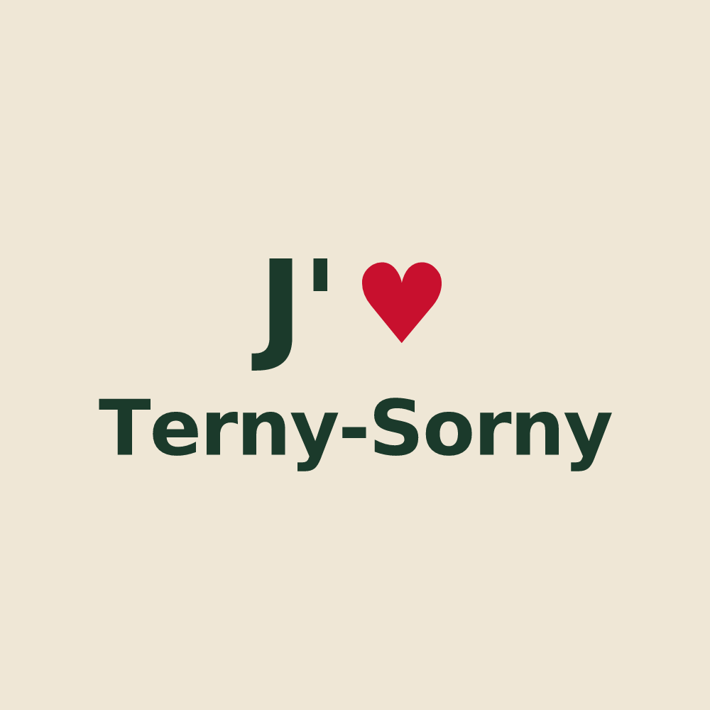Tote bag personnalisé Terny-Sorny — design J'aime Terny-Sorny