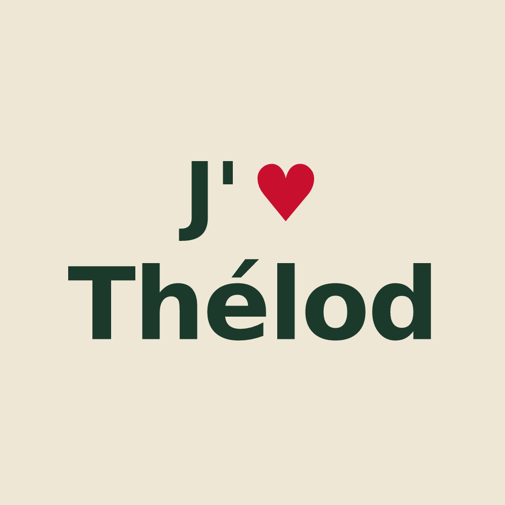 Tote bag personnalisé Thélod — design « J'aime Thélod » imprimé sur le tote bag