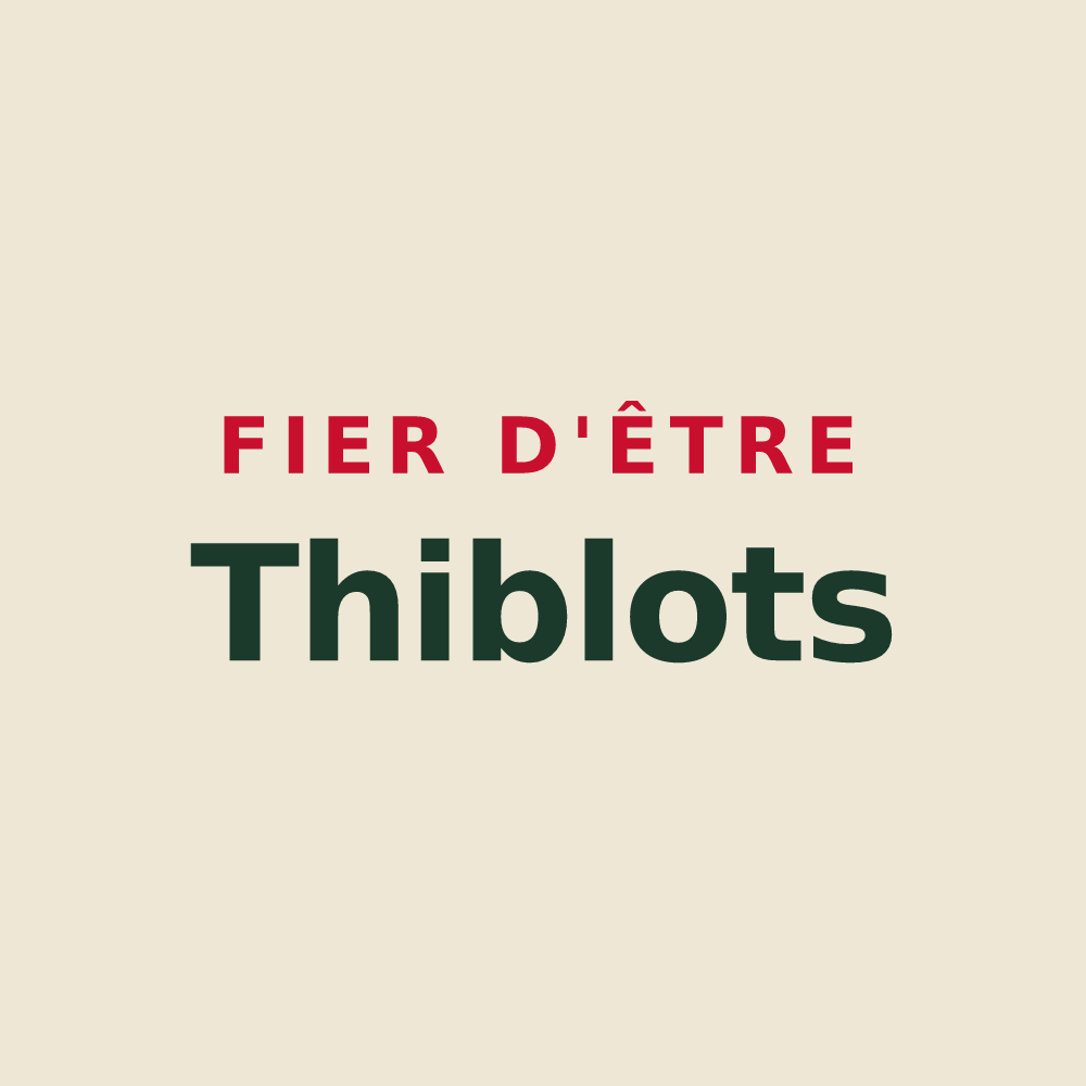 Tote bag « Fier d'être Thiblots » — design pour Thibie