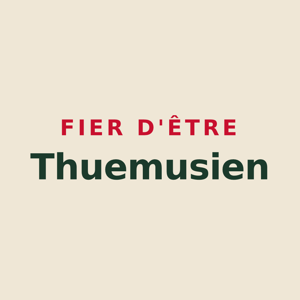 Tote bag « Fier d'être Thuemusien » — design pour Thue et Mue