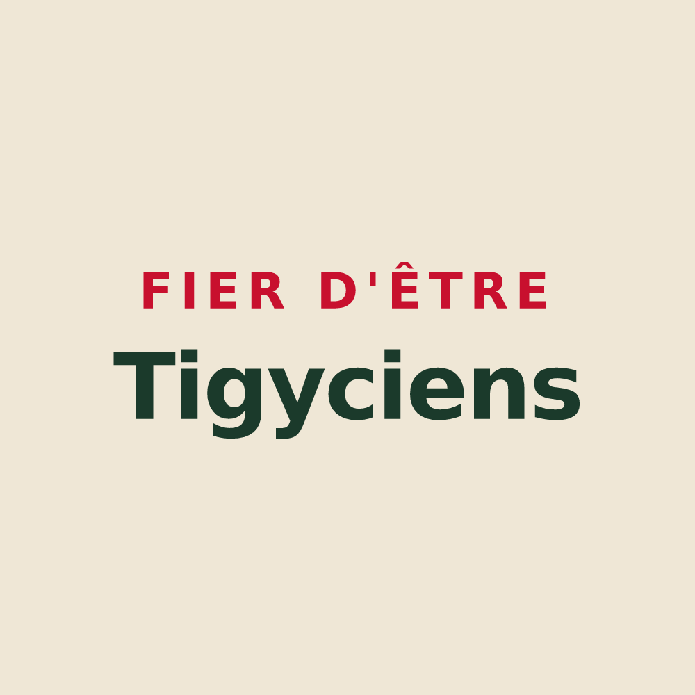 Tote bag « Fier d'être Tigyciens » — design pour Tigy