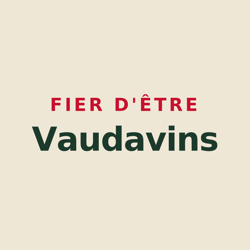 Tote bag « Fier d'être Vaudavins » — design pour Vaudevant