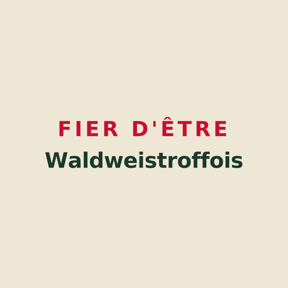 Tote bag « Fier d'être Waldweistroffois » — design pour Waldweistroff