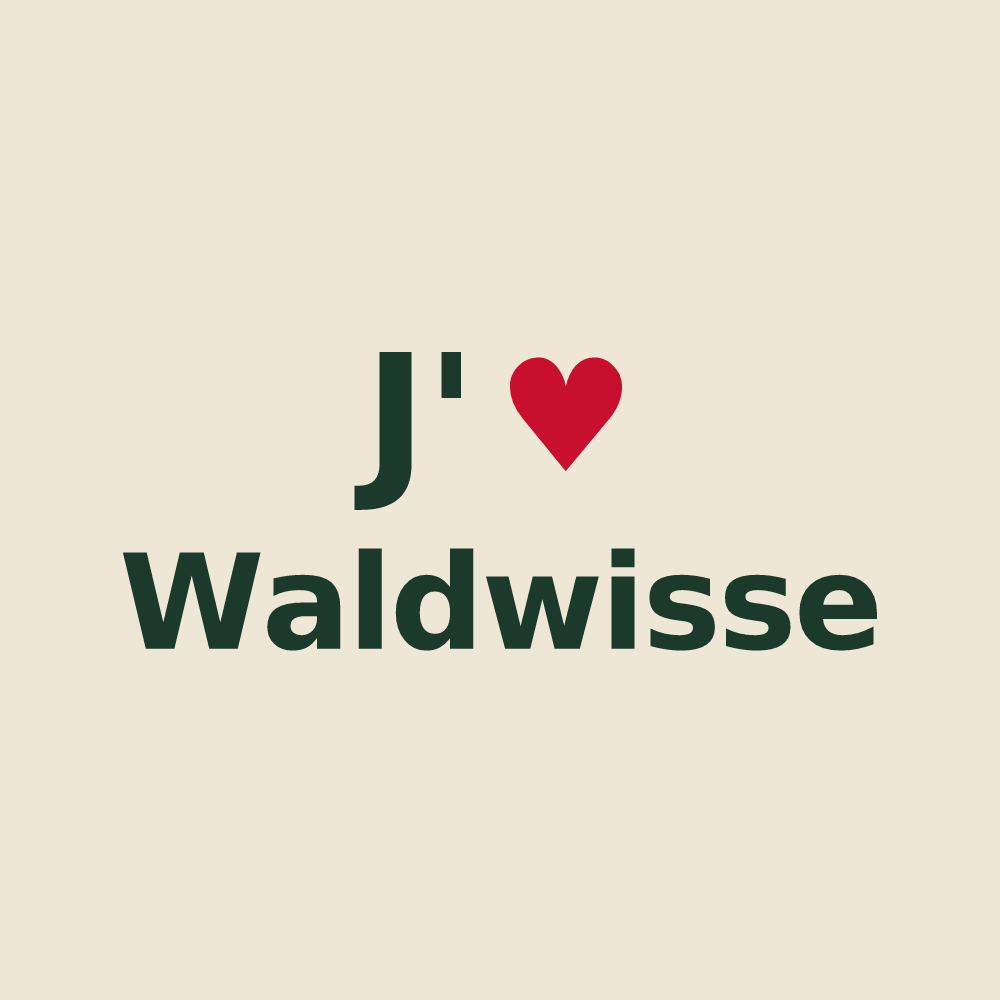 Tote bag personnalisé Waldwisse — design J'aime Waldwisse